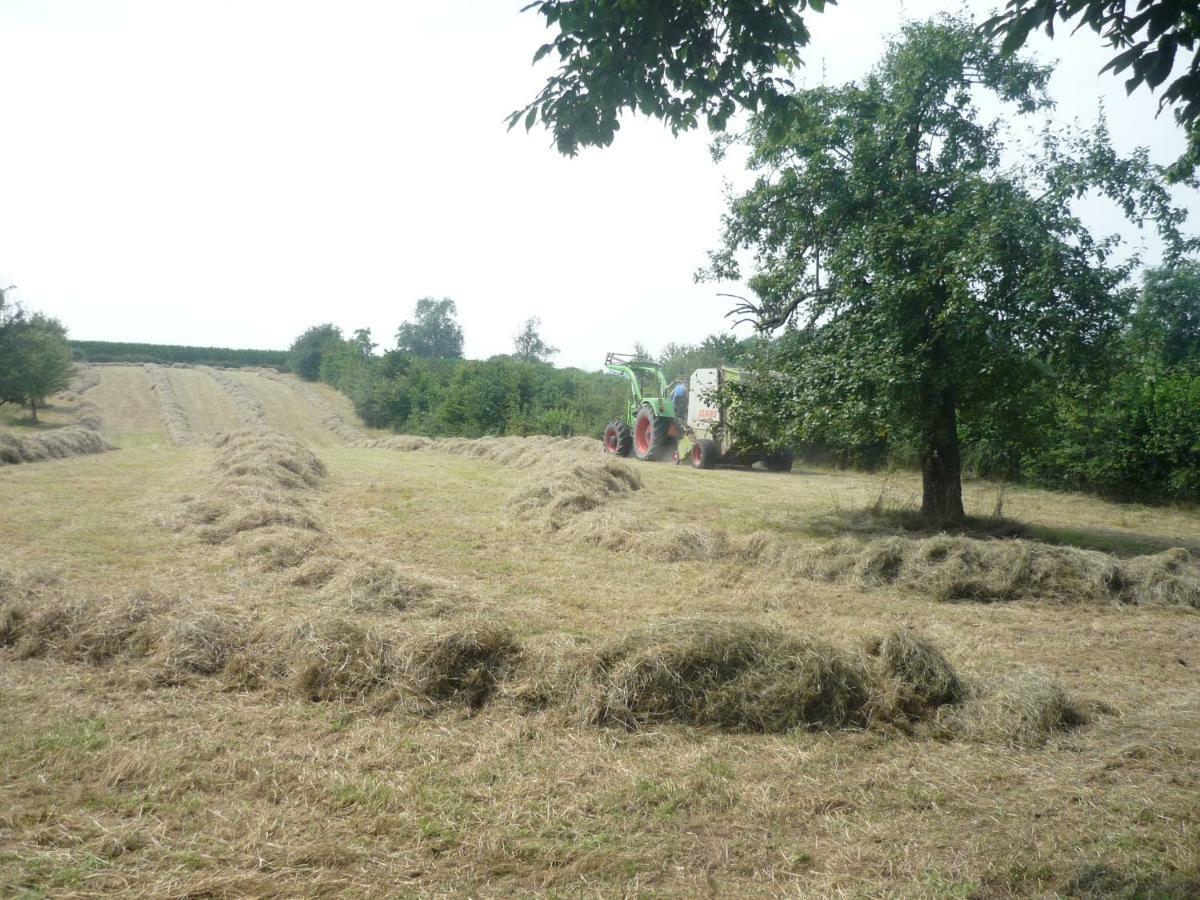 Hoeve Mingels Banholt Exteriér fotografie
